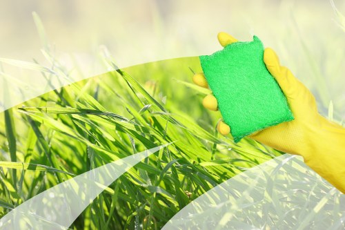 Professional carpet cleaning service in a Bromley home