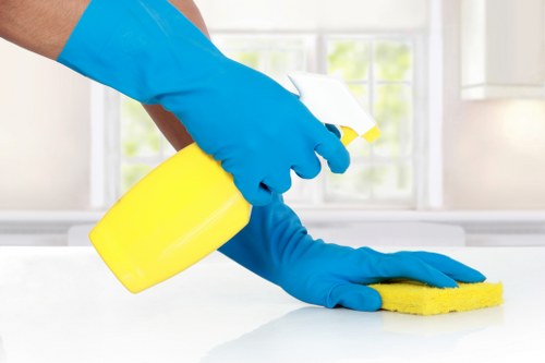 Eco-friendly carpet cleaning van with recycling symbols in Bromley