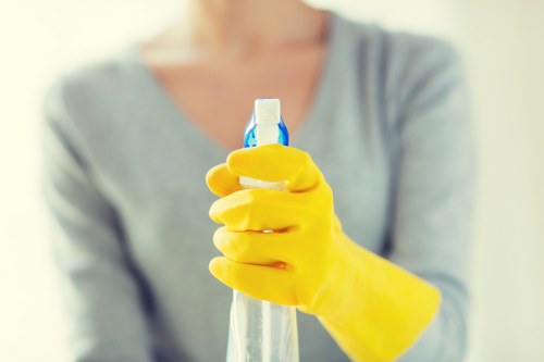 Specialist odour removal work for pet accidents in a Bromley home