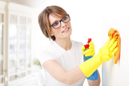 Professional window cleaning for a Bromley home exterior