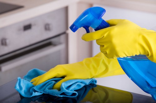 Local domestic cleaning service in Bromley for family homes and apartments