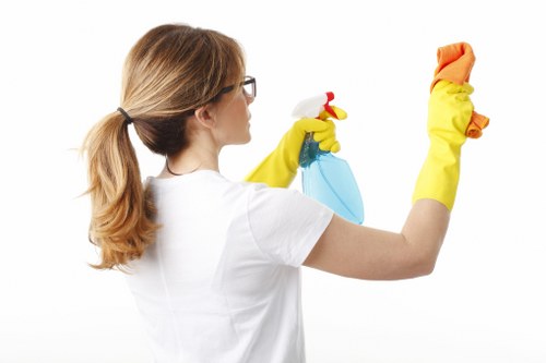 Rug and upholstery cleaning support for soft furnishings