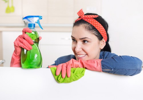 Deep cleaning of carpet fibres after a pet stain in Bromley