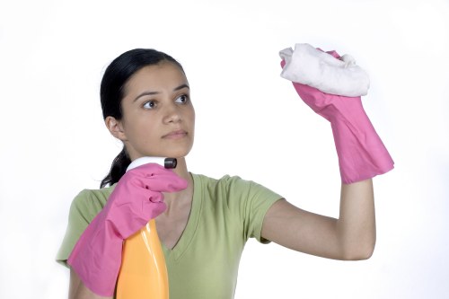 Screen-reader friendly carpet cleaning webpage layout